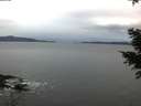 ./images/koeye/fitz-hugh/20201229/fitz-hugh20201229_084001.jpg