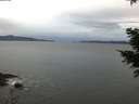 ./images/koeye/fitz-hugh/20201229/fitz-hugh20201229_084501.jpg