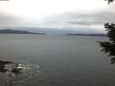 ./images/koeye/fitz-hugh/20201229/fitz-hugh20201229_085001.jpg