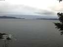 ./images/koeye/fitz-hugh/20201229/fitz-hugh20201229_085501.jpg