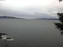 ./images/koeye/fitz-hugh/20201229/fitz-hugh20201229_090001.jpg