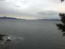./images/koeye/fitz-hugh/20201229/fitz-hugh20201229_090501.jpg