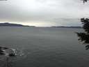 ./images/koeye/fitz-hugh/20201229/fitz-hugh20201229_091001.jpg