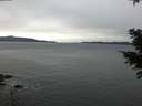 ./images/koeye/fitz-hugh/20201229/fitz-hugh20201229_092001.jpg