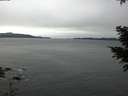 ./images/koeye/fitz-hugh/20201229/fitz-hugh20201229_092501.jpg