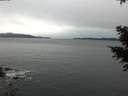 ./images/koeye/fitz-hugh/20201229/fitz-hugh20201229_093001.jpg