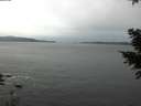 ./images/koeye/fitz-hugh/20201229/fitz-hugh20201229_093501.jpg