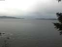 ./images/koeye/fitz-hugh/20201229/fitz-hugh20201229_094001.jpg