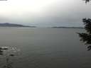 ./images/koeye/fitz-hugh/20201229/fitz-hugh20201229_094501.jpg
