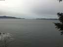 ./images/koeye/fitz-hugh/20201229/fitz-hugh20201229_095001.jpg