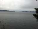 ./images/koeye/fitz-hugh/20201229/fitz-hugh20201229_095501.jpg