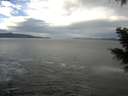 ./images/koeye/fitz-hugh/20201230/fitz-hugh20201230_112001.jpg