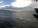./images/koeye/fitz-hugh/20201230/fitz-hugh20201230_112501.jpg