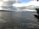 ./images/koeye/fitz-hugh/20201230/fitz-hugh20201230_114501.jpg