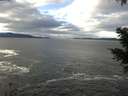 ./images/koeye/fitz-hugh/20201230/fitz-hugh20201230_115001.jpg