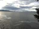 ./images/koeye/fitz-hugh/20201230/fitz-hugh20201230_115501.jpg
