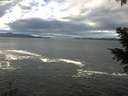 ./images/koeye/fitz-hugh/20201230/fitz-hugh20201230_120001.jpg