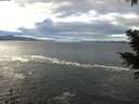 ./images/koeye/fitz-hugh/20201230/fitz-hugh20201230_120501.jpg