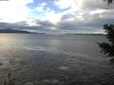 ./images/koeye/fitz-hugh/20201230/fitz-hugh20201230_121001.jpg