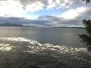./images/koeye/fitz-hugh/20201230/fitz-hugh20201230_121501.jpg