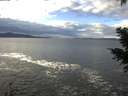./images/koeye/fitz-hugh/20201230/fitz-hugh20201230_122001.jpg