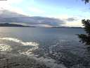 ./images/koeye/fitz-hugh/20201230/fitz-hugh20201230_122501.jpg