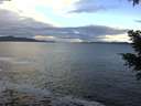 ./images/koeye/fitz-hugh/20201230/fitz-hugh20201230_123002.jpg
