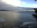 ./images/koeye/fitz-hugh/20201230/fitz-hugh20201230_124501.jpg
