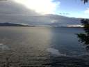 ./images/koeye/fitz-hugh/20201230/fitz-hugh20201230_125001.jpg