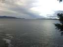 ./images/koeye/fitz-hugh/20201230/fitz-hugh20201230_131002.jpg