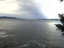 ./images/koeye/fitz-hugh/20201230/fitz-hugh20201230_132002.jpg