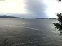./images/koeye/fitz-hugh/20201230/fitz-hugh20201230_132502.jpg