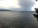 ./images/koeye/fitz-hugh/20201230/fitz-hugh20201230_133002.jpg