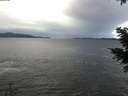 ./images/koeye/fitz-hugh/20201230/fitz-hugh20201230_133502.jpg