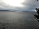 ./images/koeye/fitz-hugh/20201230/fitz-hugh20201230_134002.jpg