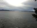 ./images/koeye/fitz-hugh/20201230/fitz-hugh20201230_134502.jpg