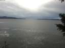 ./images/koeye/fitz-hugh/20201230/fitz-hugh20201230_135002.jpg