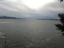 ./images/koeye/fitz-hugh/20201230/fitz-hugh20201230_135502.jpg