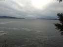 ./images/koeye/fitz-hugh/20201230/fitz-hugh20201230_140002.jpg