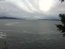 ./images/koeye/fitz-hugh/20201230/fitz-hugh20201230_140502.jpg