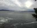 ./images/koeye/fitz-hugh/20201230/fitz-hugh20201230_141002.jpg
