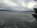 ./images/koeye/fitz-hugh/20201230/fitz-hugh20201230_141501.jpg