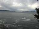 ./images/koeye/fitz-hugh/20201230/fitz-hugh20201230_142001.jpg