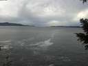./images/koeye/fitz-hugh/20201230/fitz-hugh20201230_142501.jpg