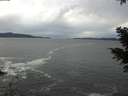 ./images/koeye/fitz-hugh/20201230/fitz-hugh20201230_143001.jpg