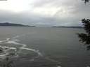 ./images/koeye/fitz-hugh/20201230/fitz-hugh20201230_143501.jpg