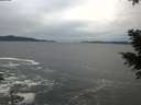 ./images/koeye/fitz-hugh/20201230/fitz-hugh20201230_144501.jpg