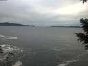 ./images/koeye/fitz-hugh/20201230/fitz-hugh20201230_145001.jpg