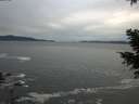 ./images/koeye/fitz-hugh/20201230/fitz-hugh20201230_145501.jpg