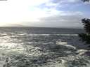./images/koeye/fitz-hugh/20210102/fitz-hugh20210102_123002.jpg